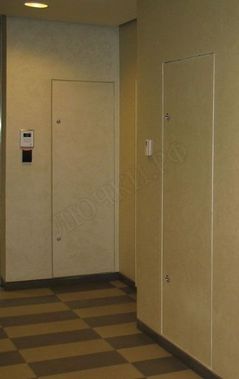 Люк-дверь под покраску Техно Противопожарный 2 створки 1600*2200 Люк-дверь под покраску Техно Противопожарный 2 створки 1600*2200